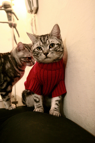 _海洋牧场运动体验:释放海洋能量_,海洋牧场优缺点