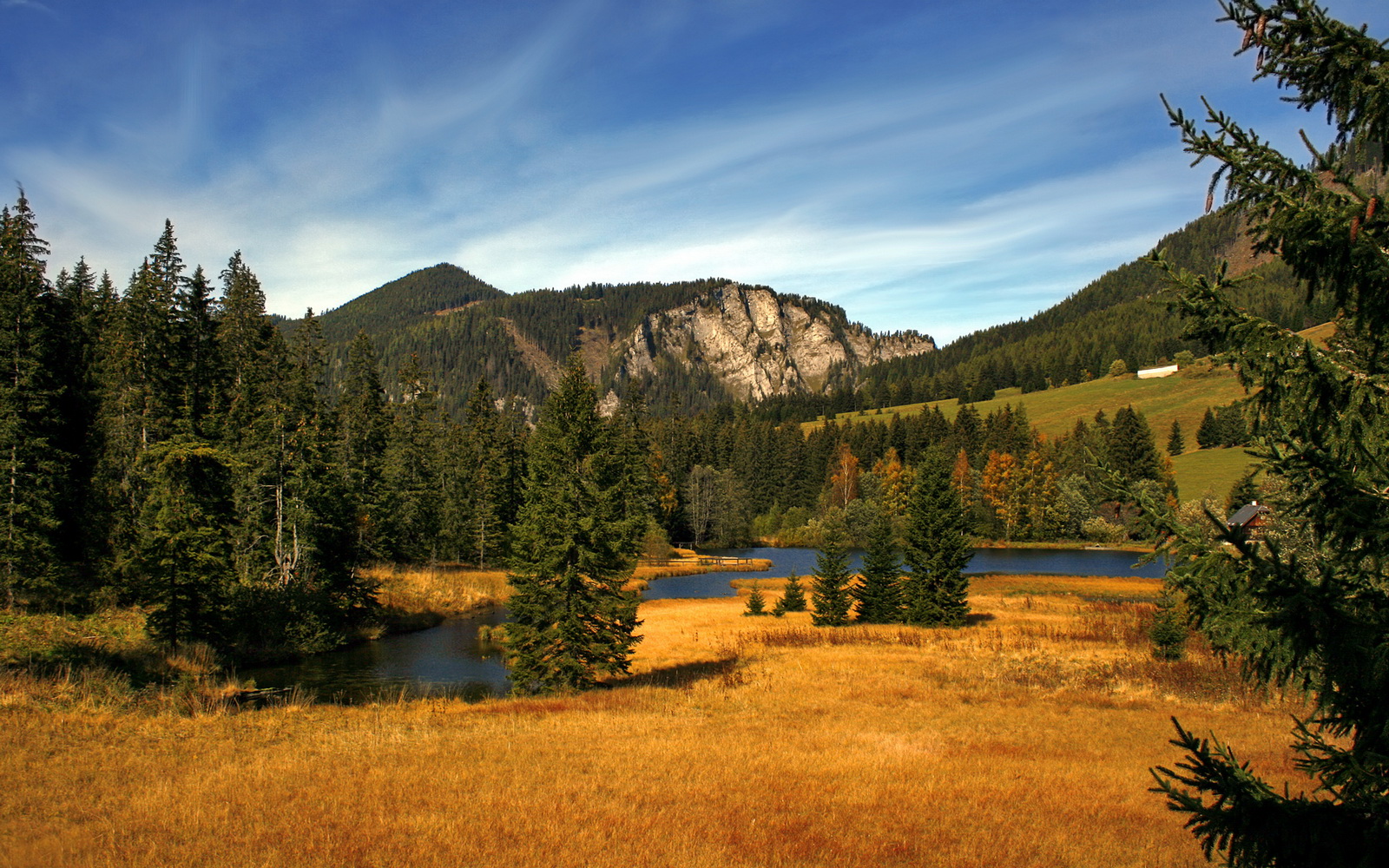 “极限速度突破:传感器引领投球表现全面升级”