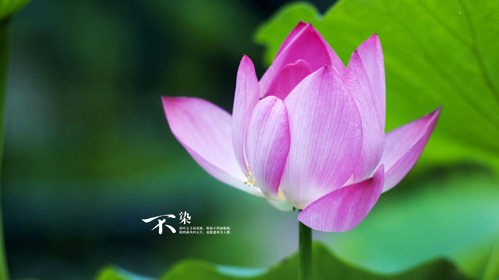 【比赛历史】最经典的逆转比赛背后隐藏的战术玄机,逆转获胜